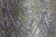 Brinkworth fibreglass roof work